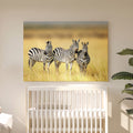 Tableau Toile Trio de Zèbres - Photo Animaux Savane d'Afrique - Décoration Murale Salon