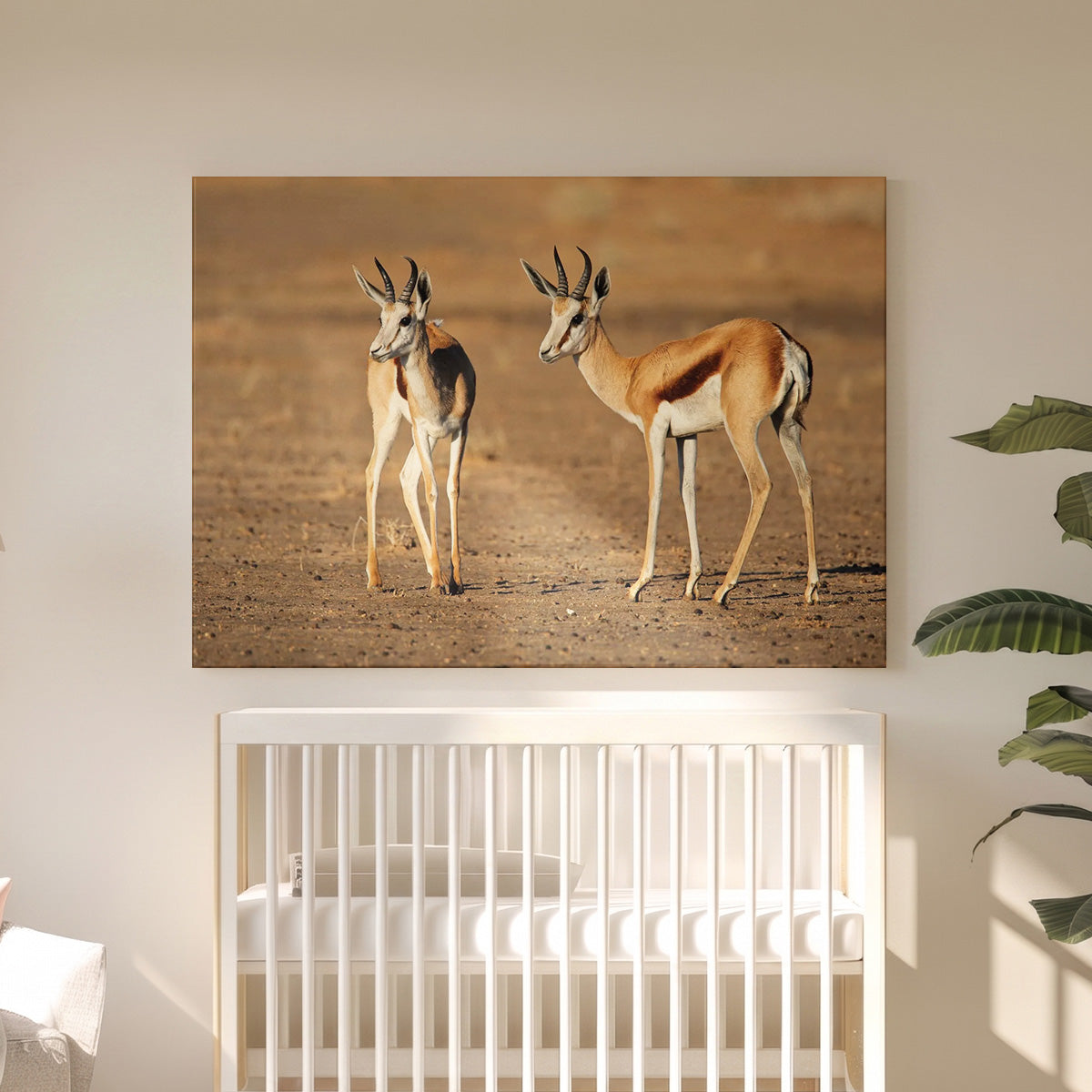 Tableau Toile Couple de Gazelles - Photo Animaux de la Savane Sauvage - Déco Intérieure Nature