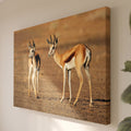 Tableau Toile Couple de Gazelles - Photo Animaux de la Savane Sauvage - Déco Intérieure Nature