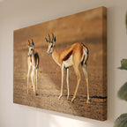 Tableau Toile Couple de Gazelles - Photo Animaux de la Savane Sauvage - Déco Intérieure Nature