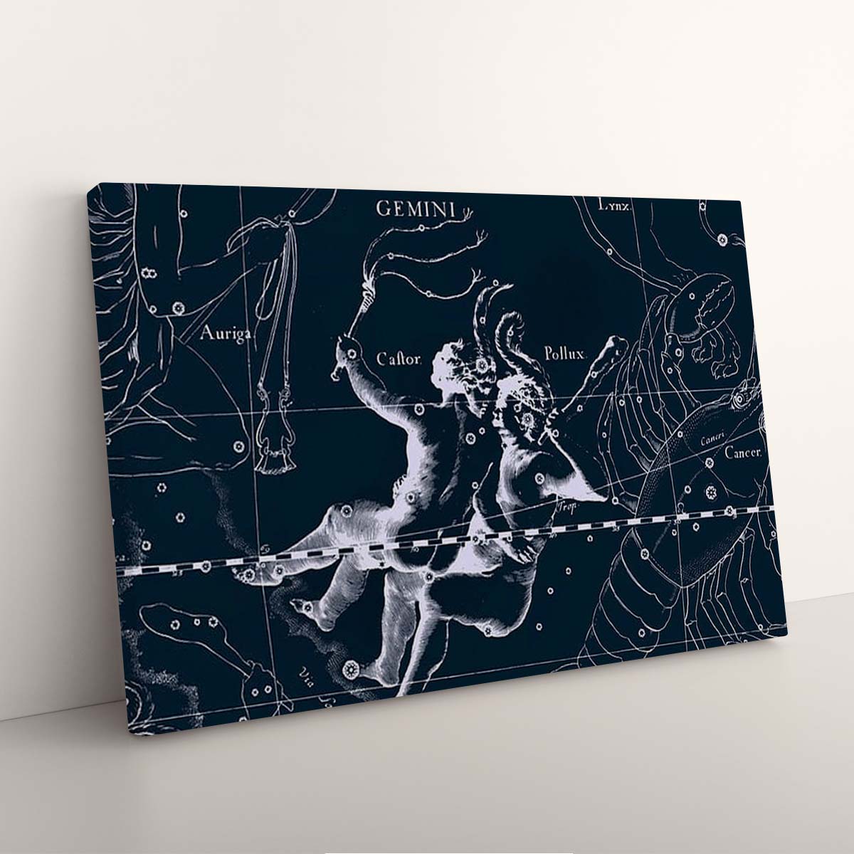 Tableau Toile Signe du Zodiaque Gémeaux Étoiles Jumelles